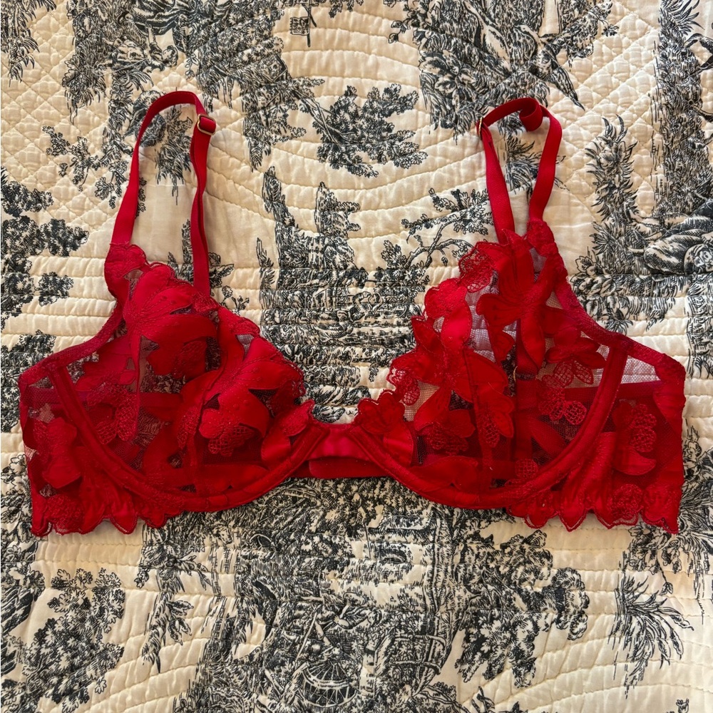 VS lace bra